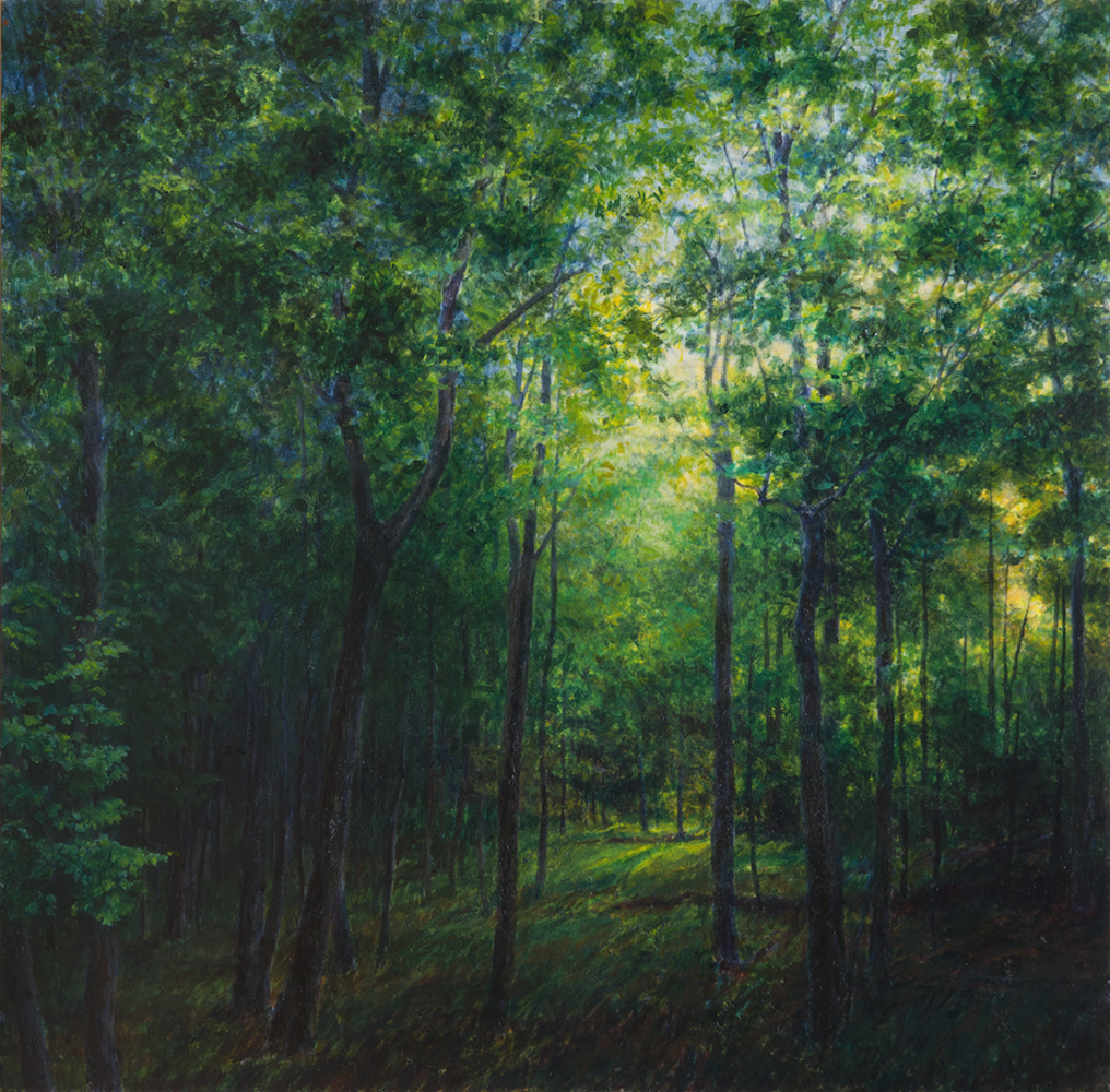 The Enchanted Glade, Sunrise
