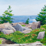 Wind Blown Trees, Schoodic Peninsula