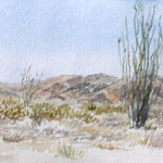 Ocotillo, Afternoon in Joshua Tree National Park